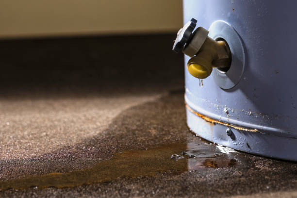 Trusted Brewster, NY Water damage restoration Experts