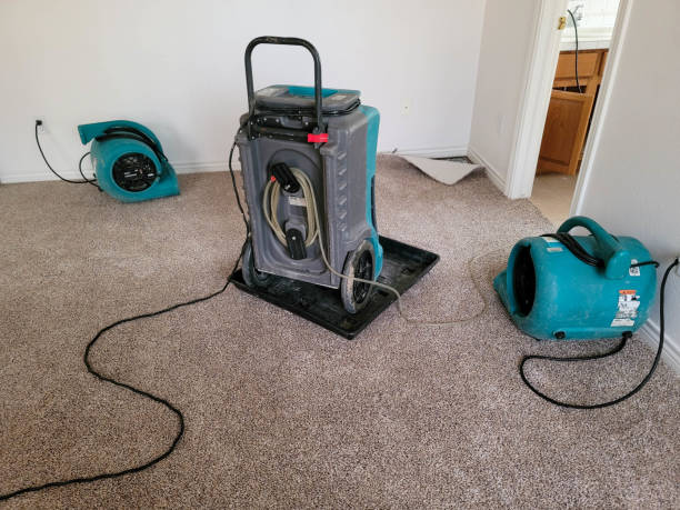 Best 24-hour water damage restoration  in Brewster, NY