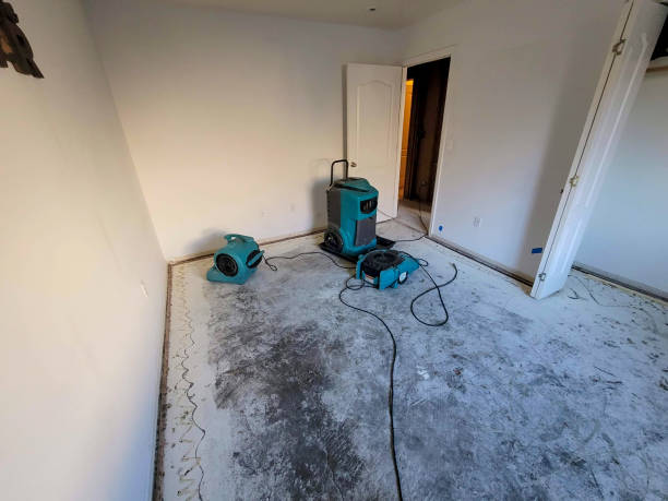 Best Water damage cleanup near me  in Brewster, NY