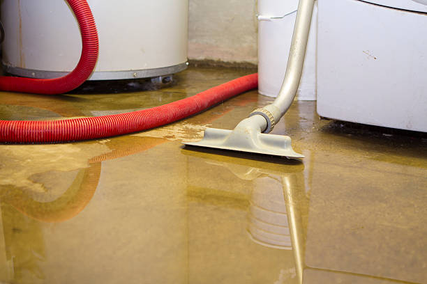Best 24/7 water damage repair  in Brewster, NY